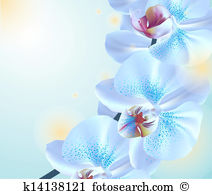 Phalaenopsis Clipart Royalty Free. 225 phalaenopsis clip art.