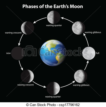 Phases of the moon clipart - Clipground