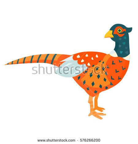 Pheasant Cartoon Stock Images, Royalty.
