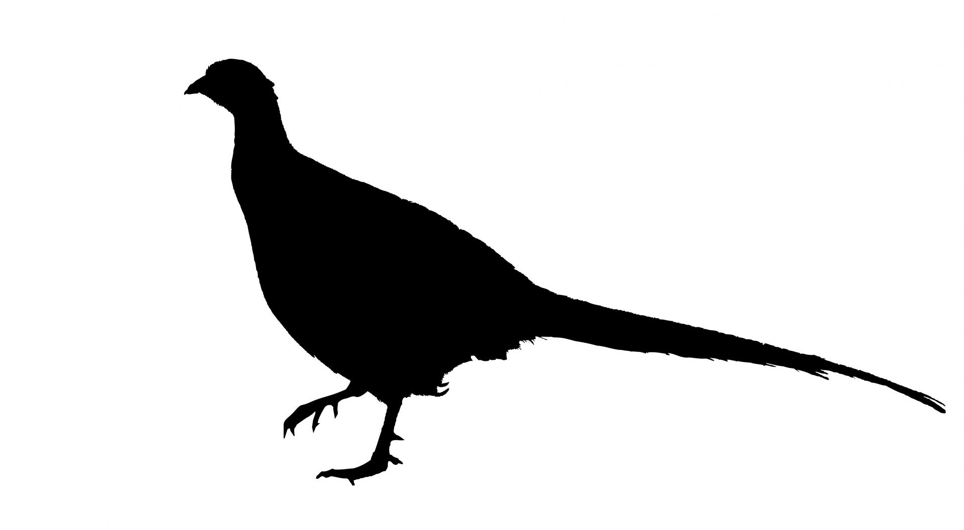 Pheasant Silhouette Clipart.