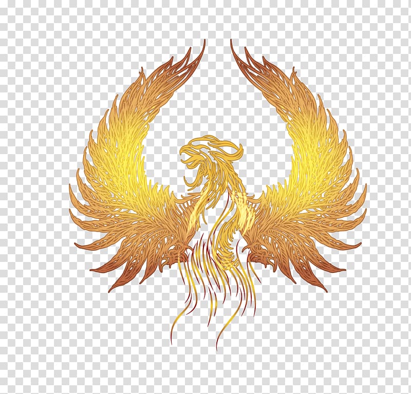 Phoenix illustration, Fenghuang Google s, golden wings of.