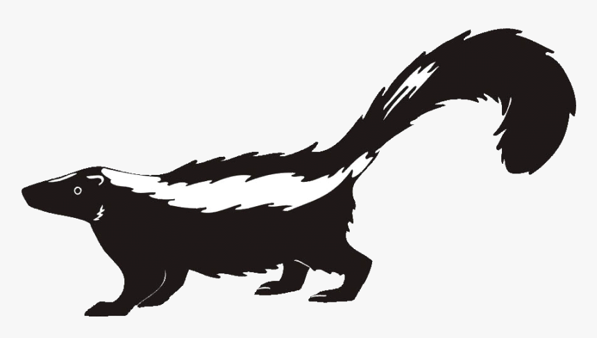 Skunk Clipart Transparent.