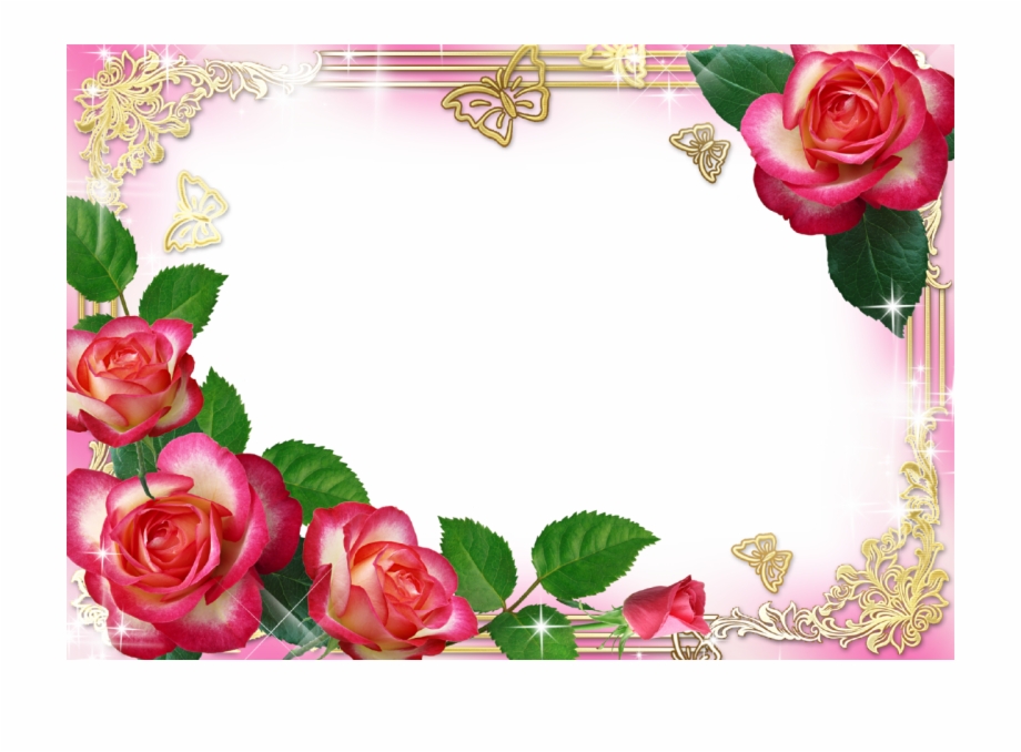 Hd Flower Photo Frame, HD Png Download (4965460 ).