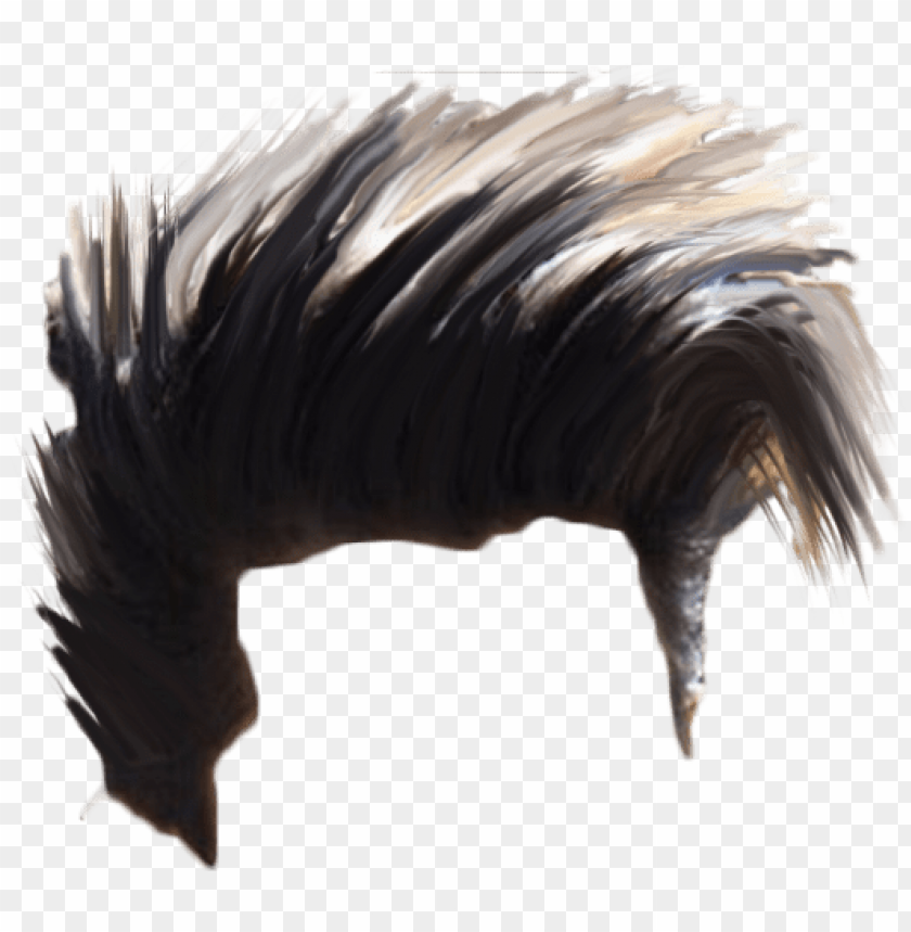 hair png download hd quality.