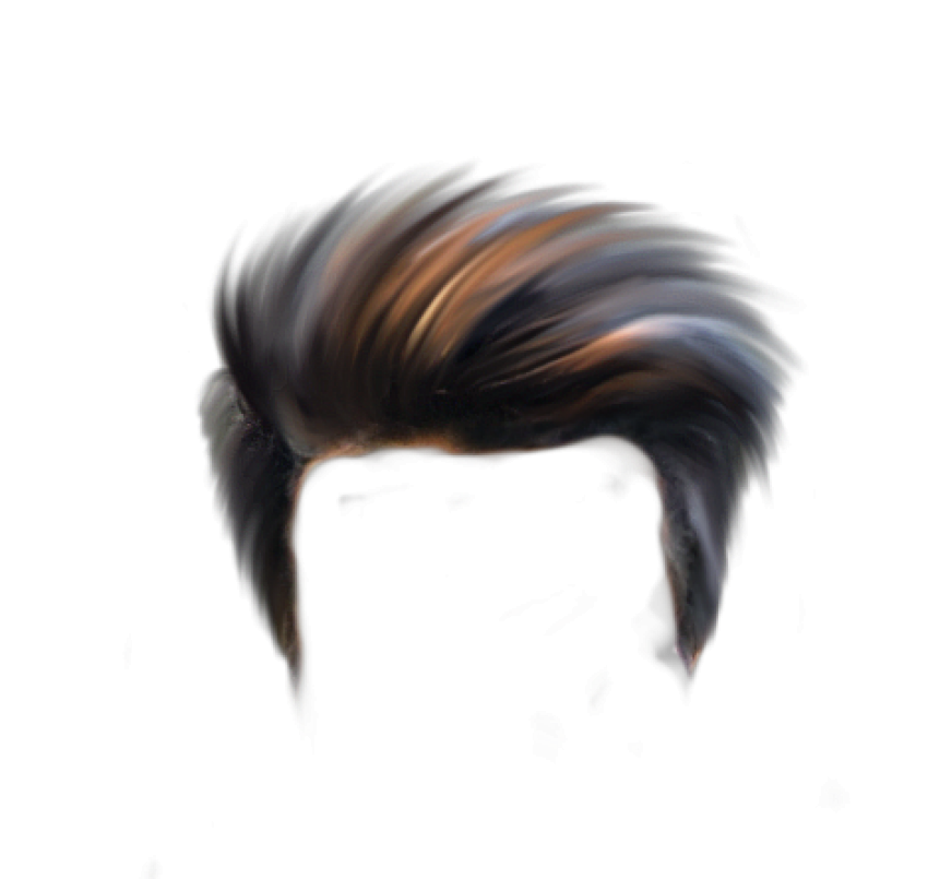 Hair PNG.