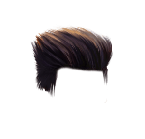 Hair Png & Free Hair.png Transparent Images #49.