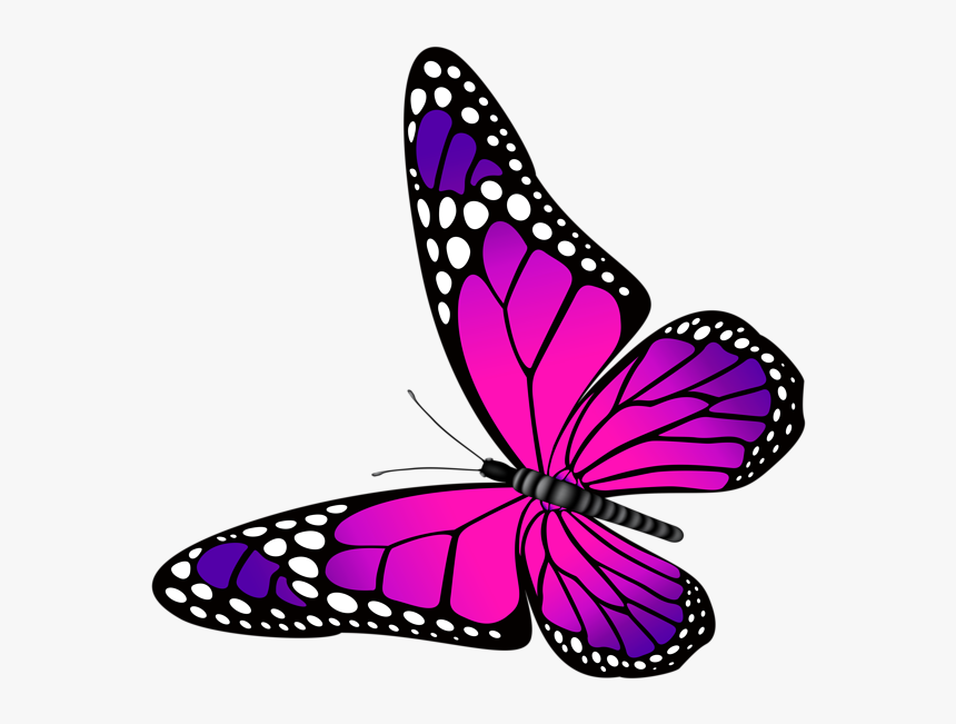 Monarch Butterfly Clipart Png Full Hd.