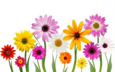 May Flowers Free Clipart Images.