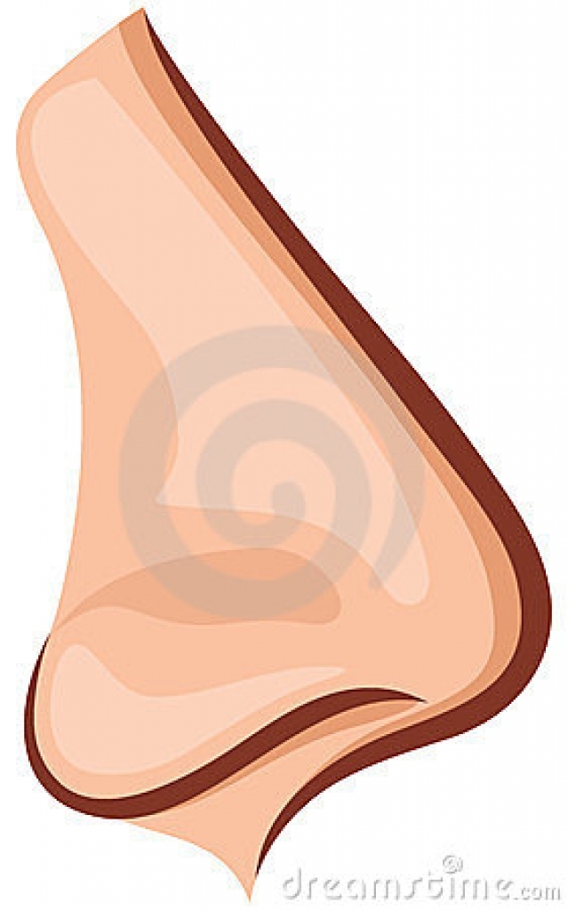 Human nose clipart for kids human nose clipart for kids.