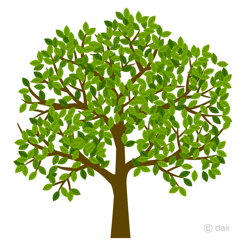 Free Many Leaves Tree Clipart Image｜Illustoon.