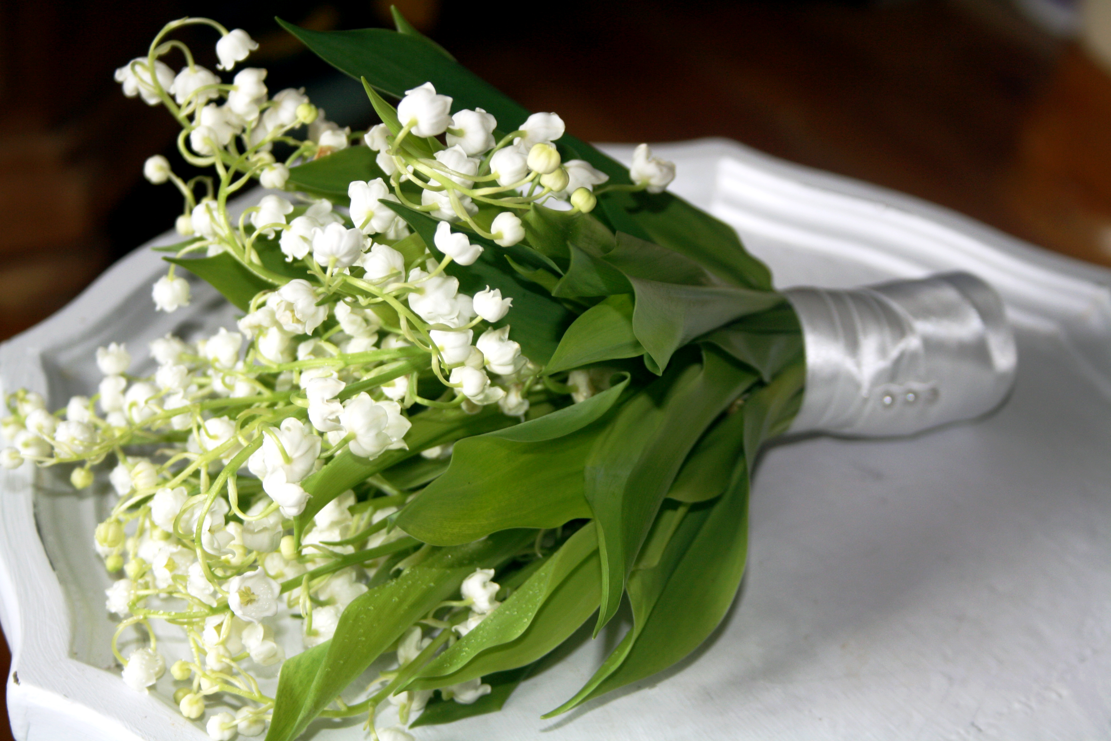 Wedding Flowers: white small wedding flowers.
