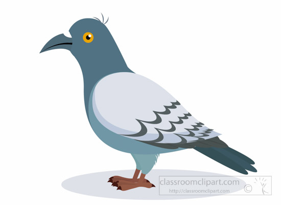 Bird clipart pigeon bird clipart 2.