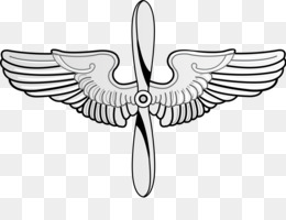 Pilot Wings Cliparts PNG and Pilot Wings Cliparts.