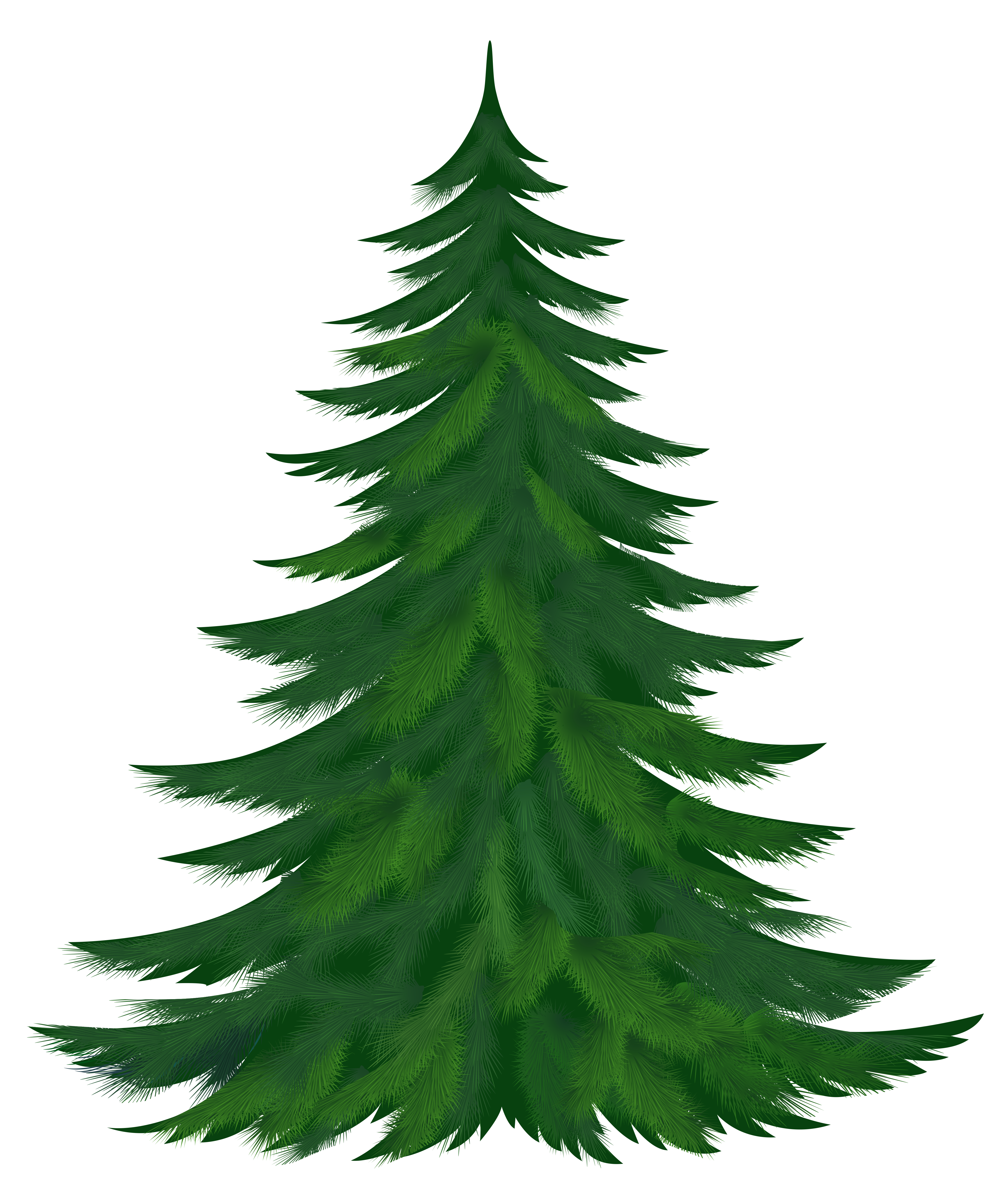 Best Pine Tree Clipart #24518.