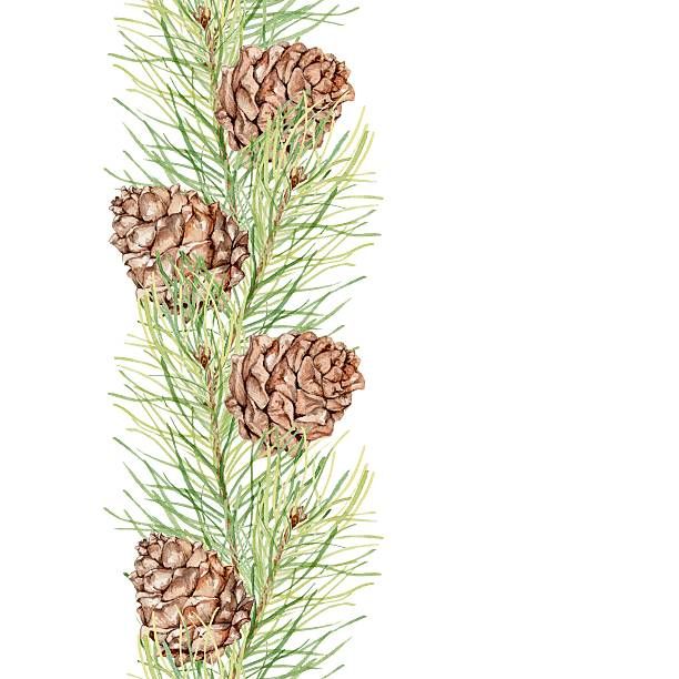 Royalty Free Pine Cone Border Pictures Clip Art, Vector.