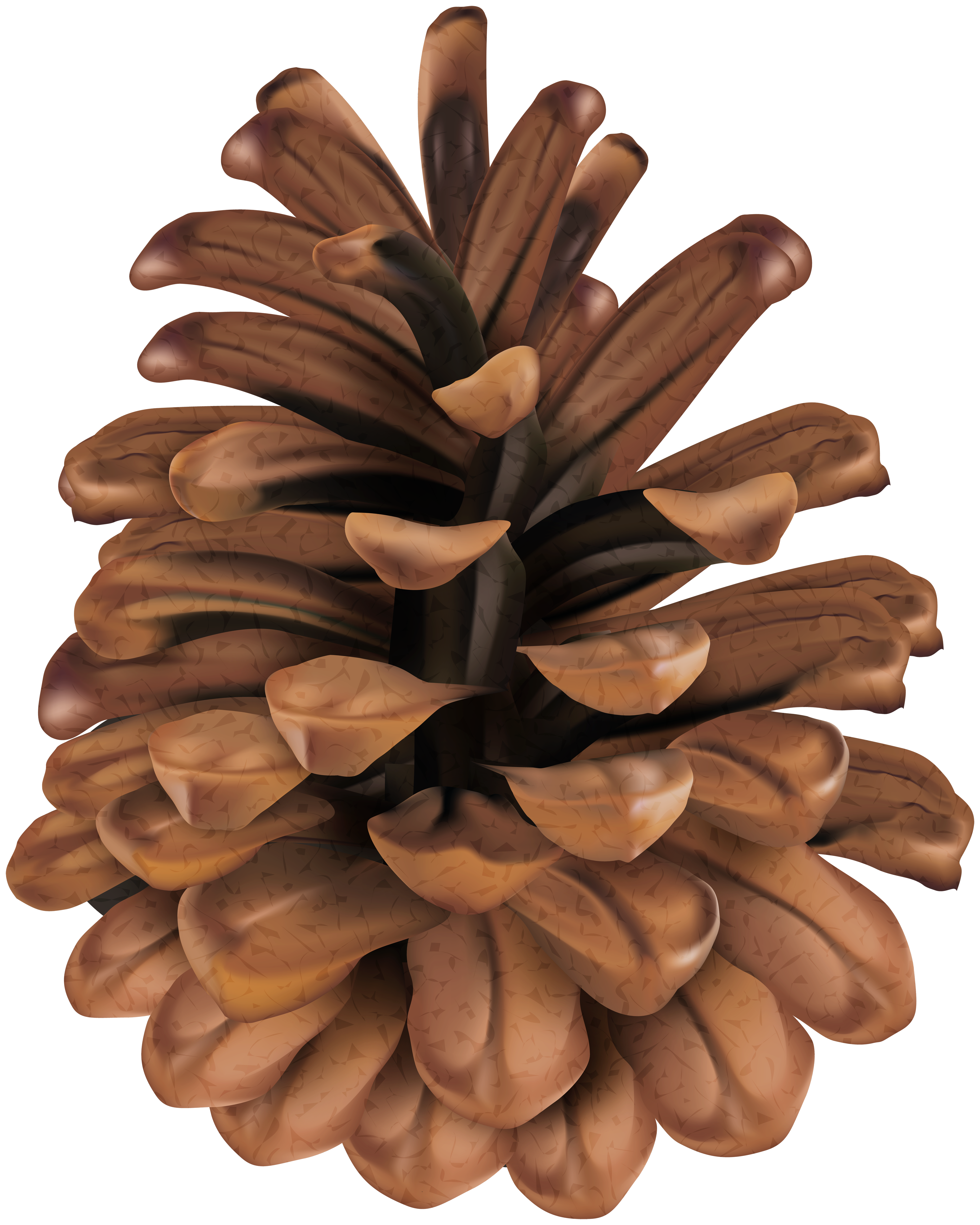Pine Cone Clip Art PNG Image.