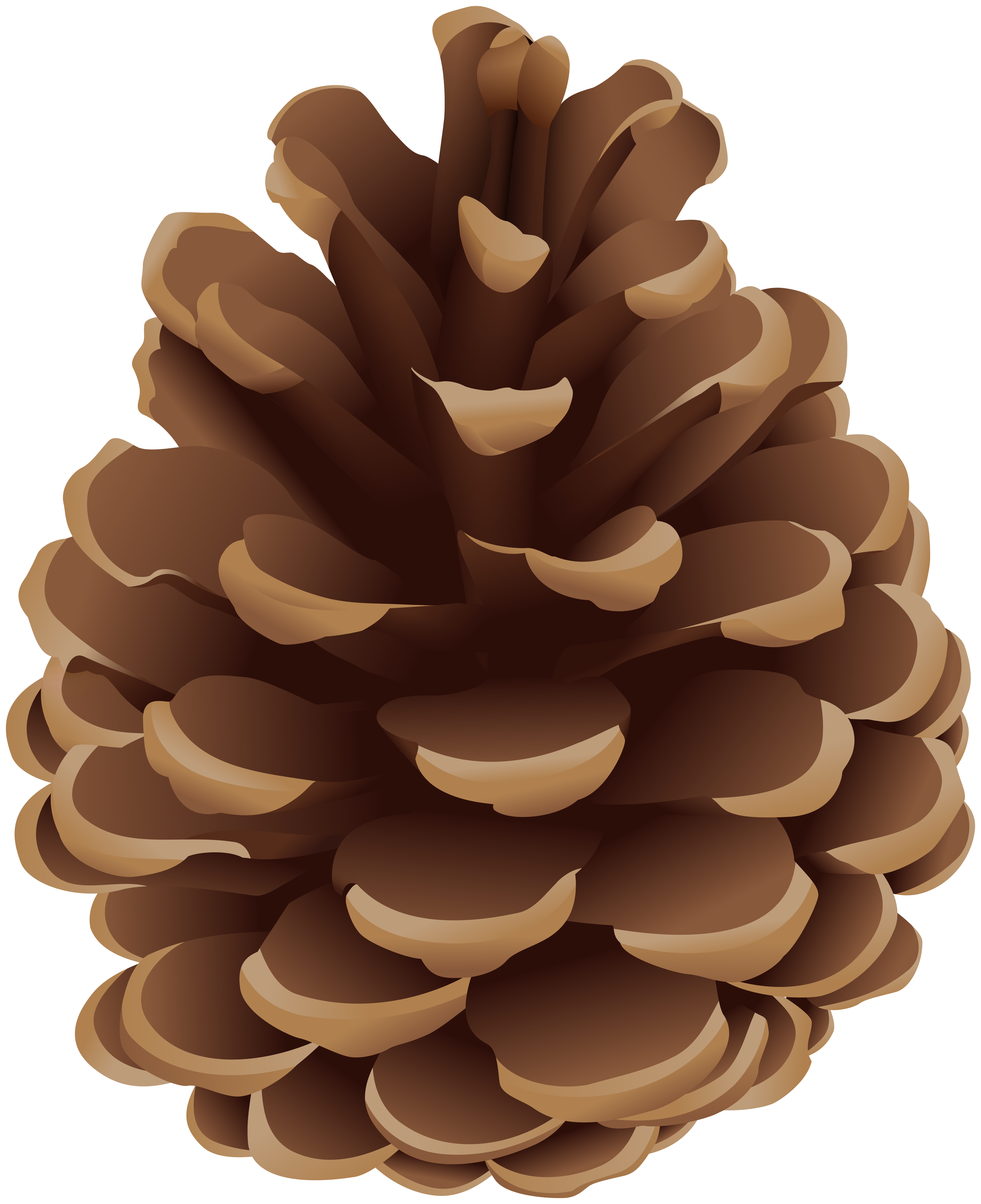 Pinecone PNG Clip Art.