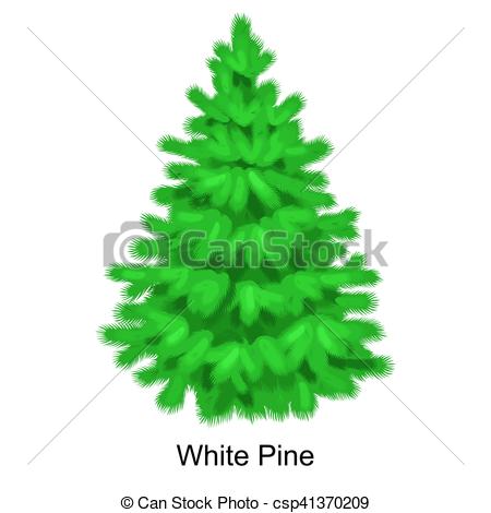 Vector Clipart of Christmas vector tree like white pine for New.