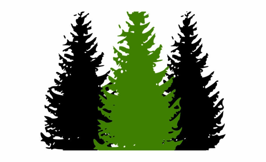 Pine Tree Clipart Conifer Tree.