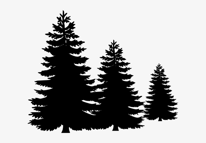pine tree vector clipart 10 free Cliparts | Download ...