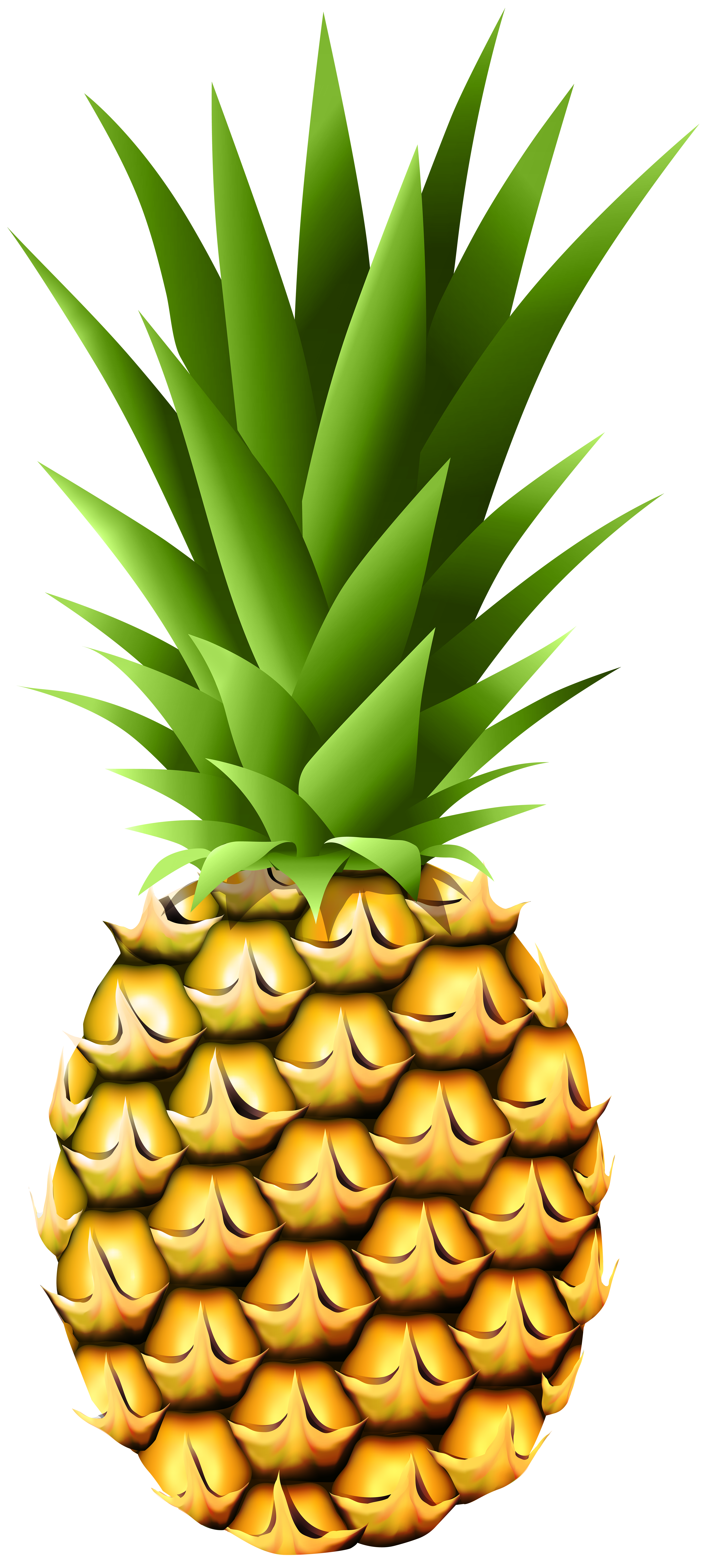 Pineapple Transparent PNG Clip Art Image.