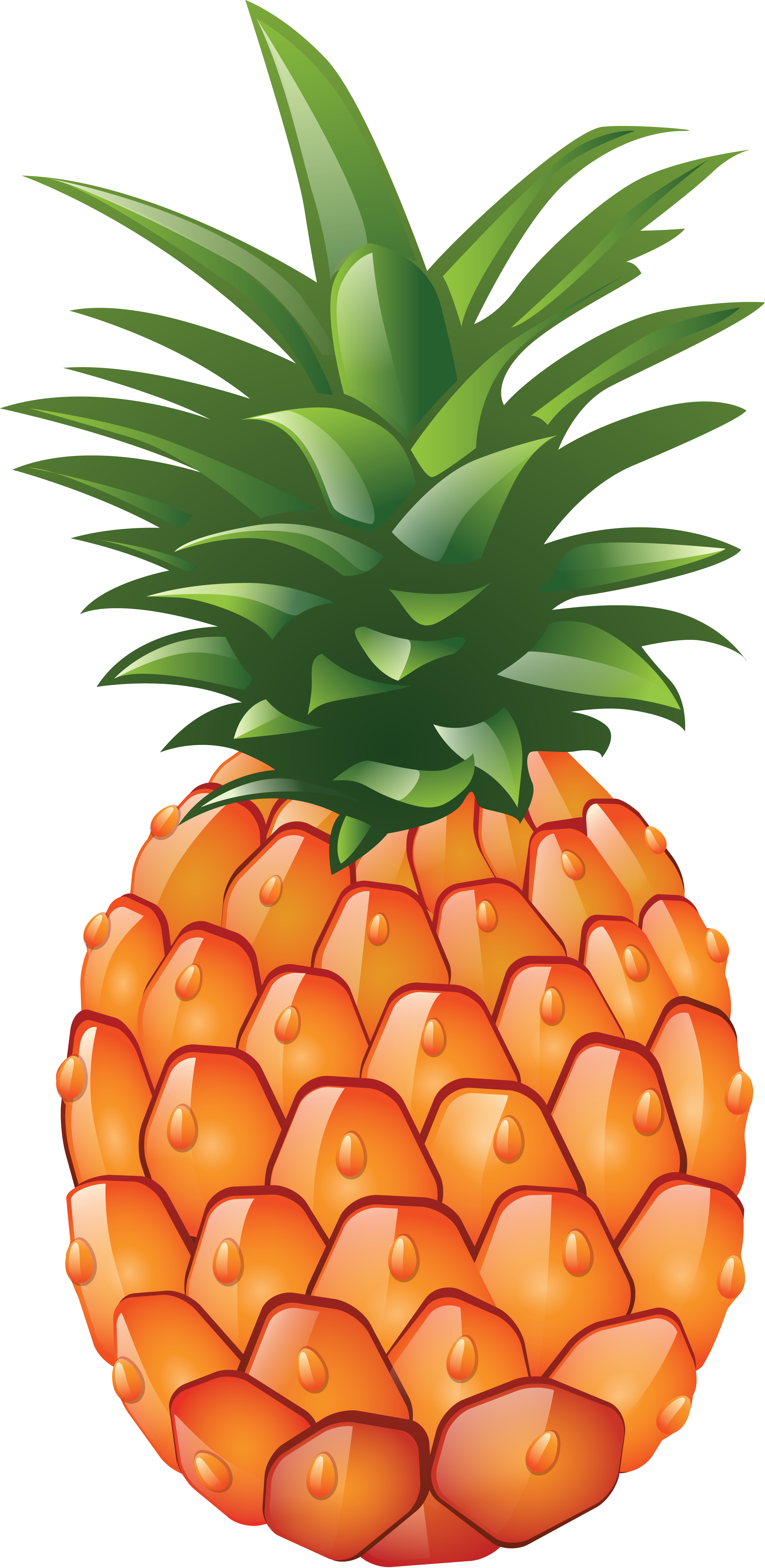 Pineapple Fruit Transparent PNG Images Free Download.