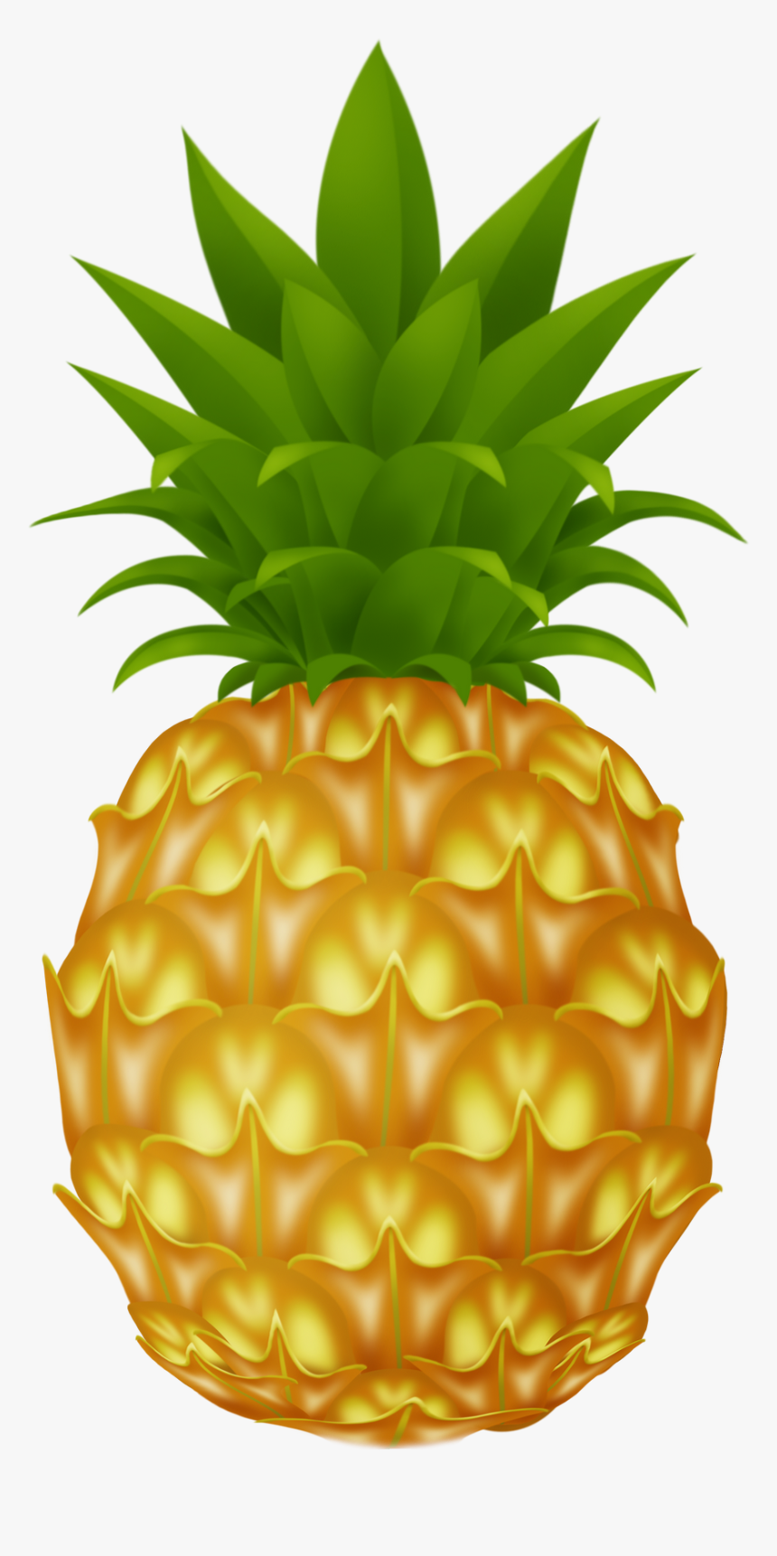 Pineapple Png Image.