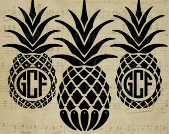 Download Pineapple top clipart 20 free Cliparts | Download images ...