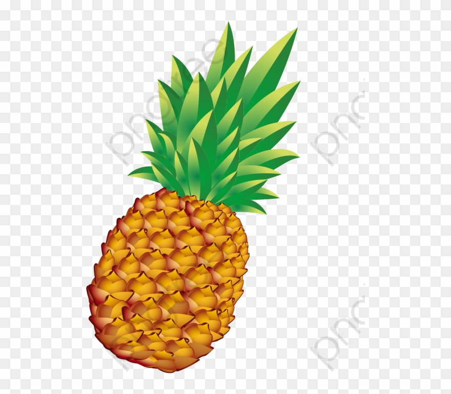 pineapple vector