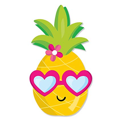 cute pineapple teddy