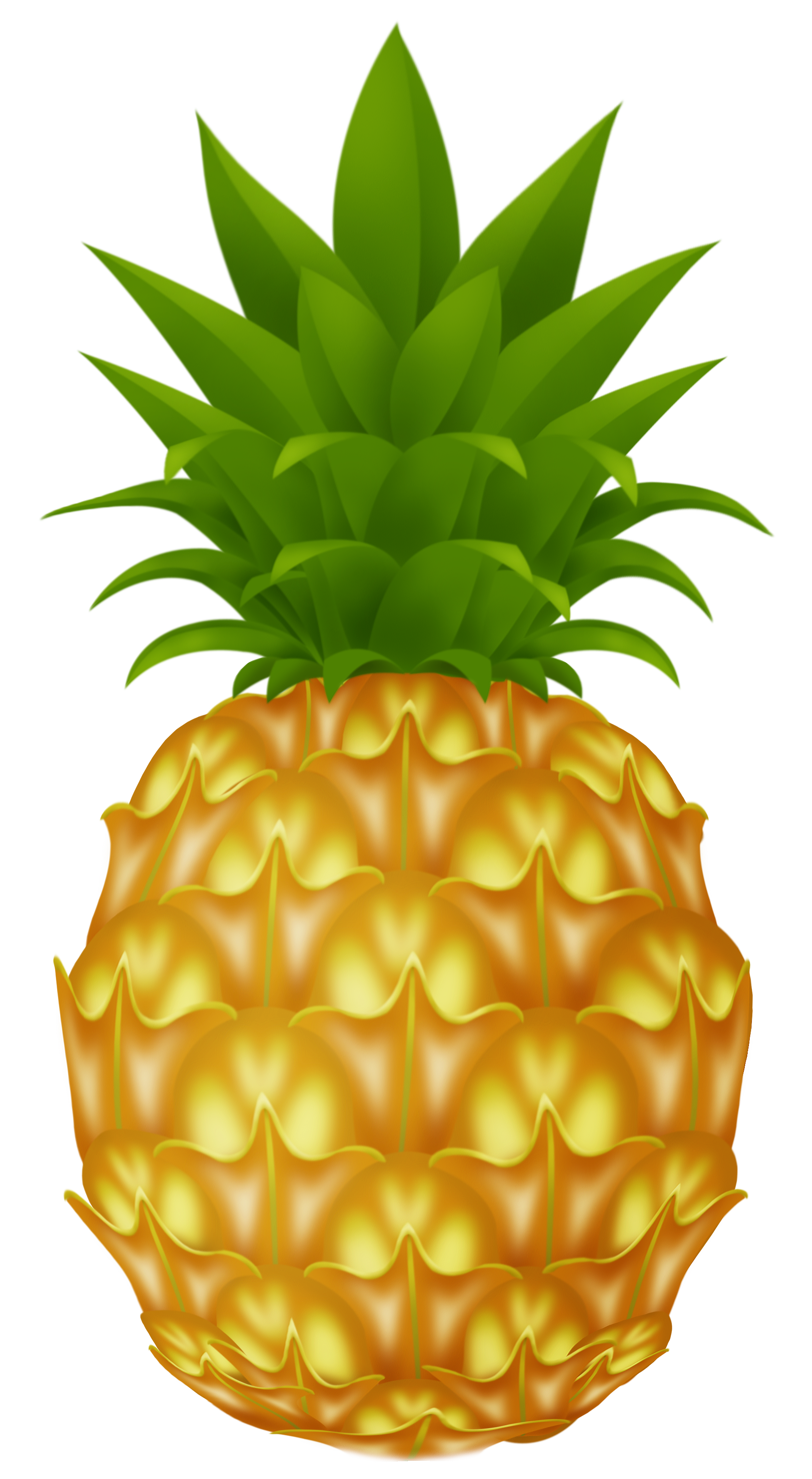 Pineapples clipart  20 free  Cliparts  Download images on 