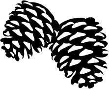 Clip Art Pine Cone.