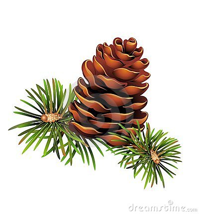 Pinecone Clipart & Pinecone Clip Art Images.