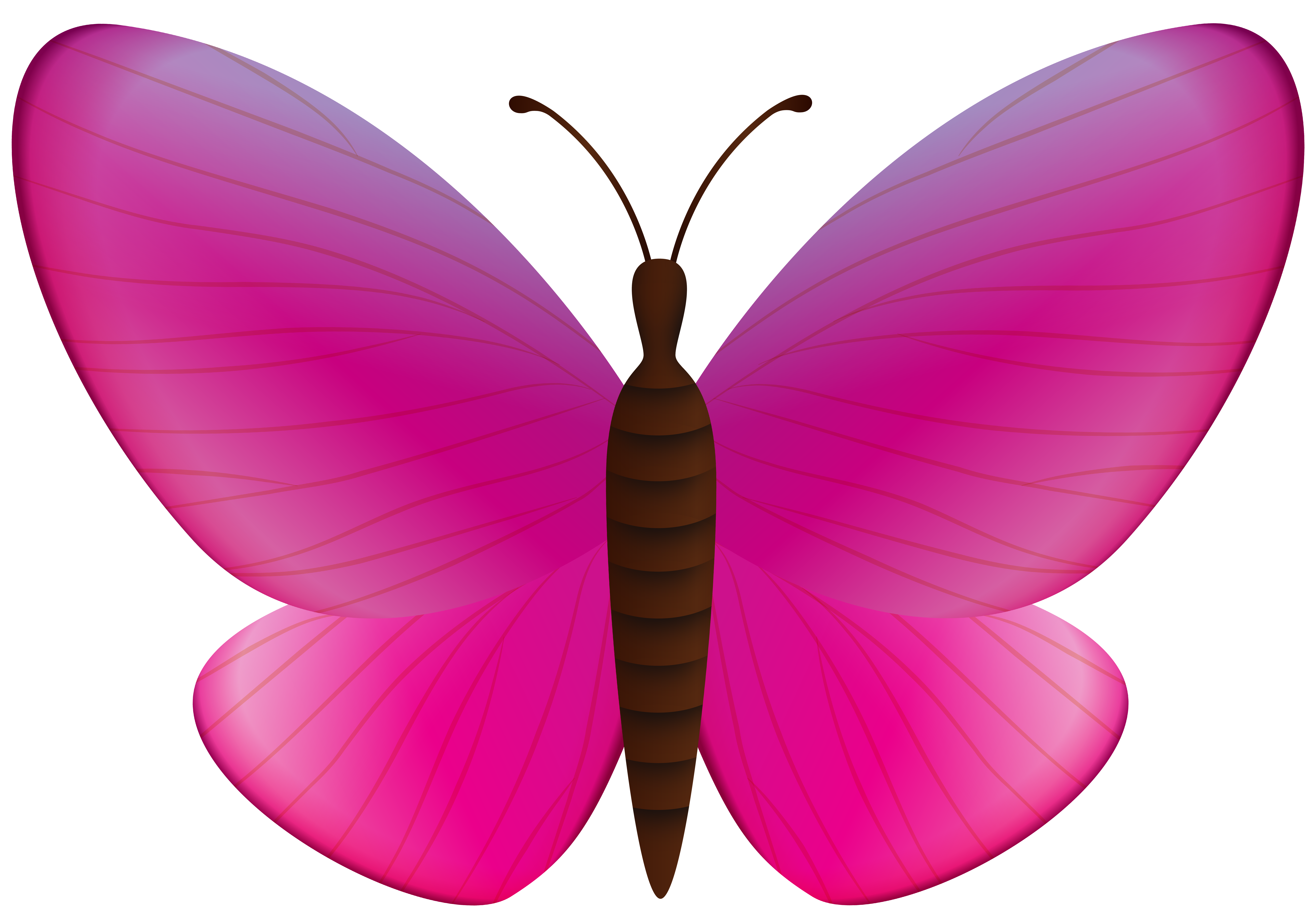 Pink Butterfly PNG Clipart.