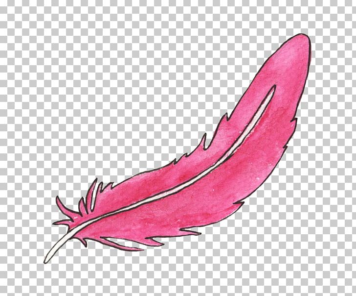 Feather Bird Animal PNG, Clipart, Animal Feather, Animals.