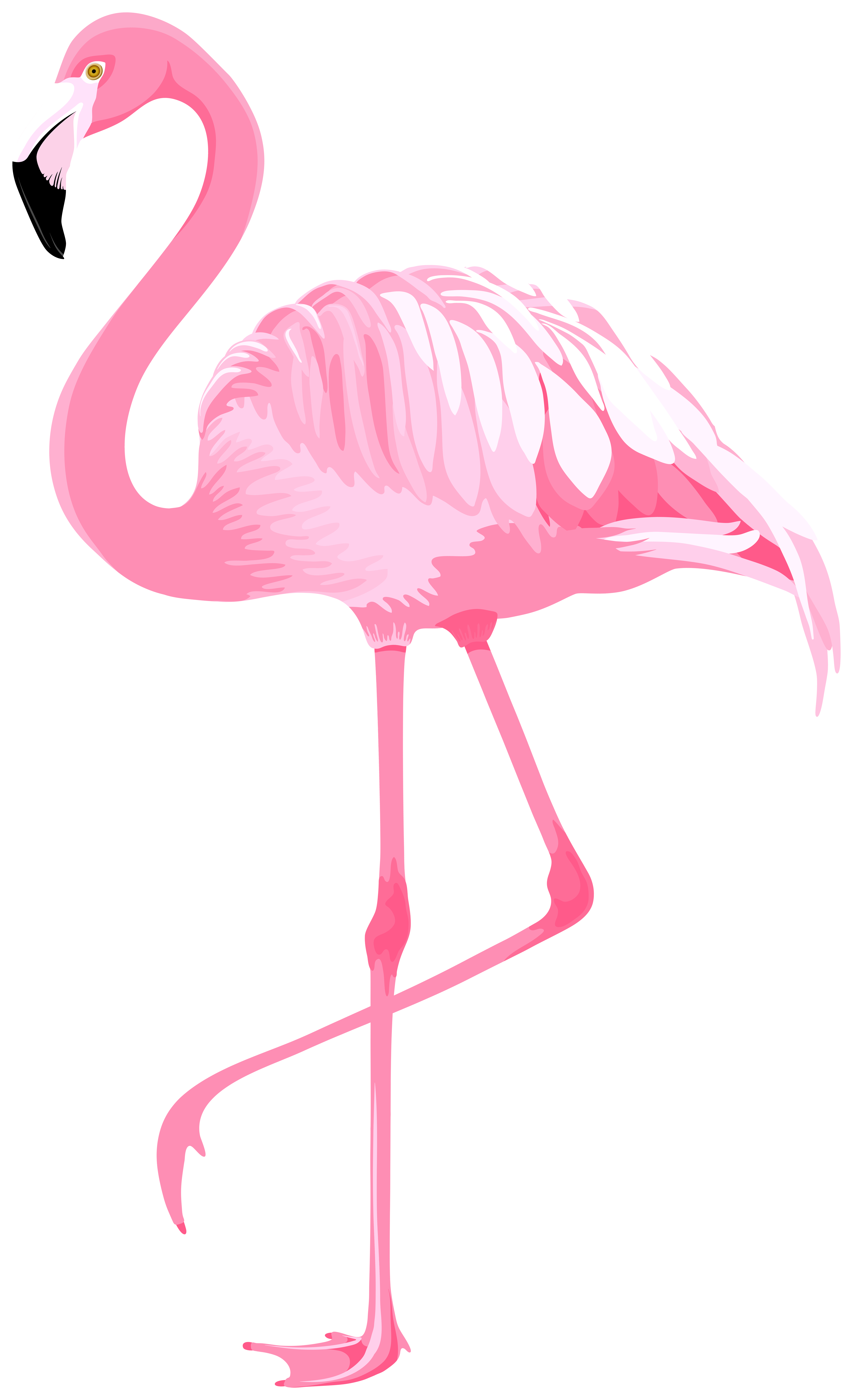 Pink Flamingo Clip Art Free Free Cliparts Download Images On Clipground