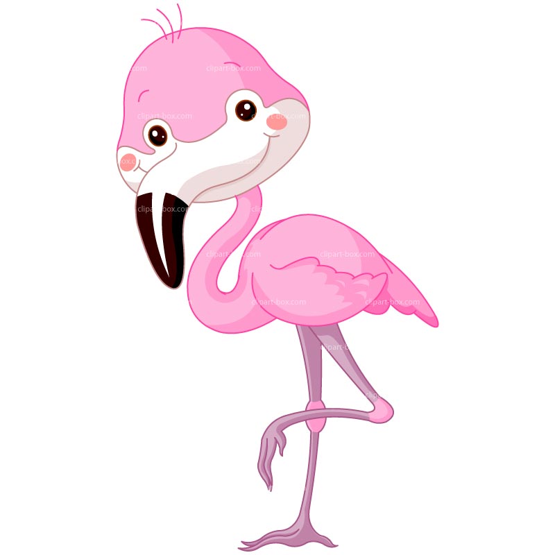 pink flamingo clipart noi background