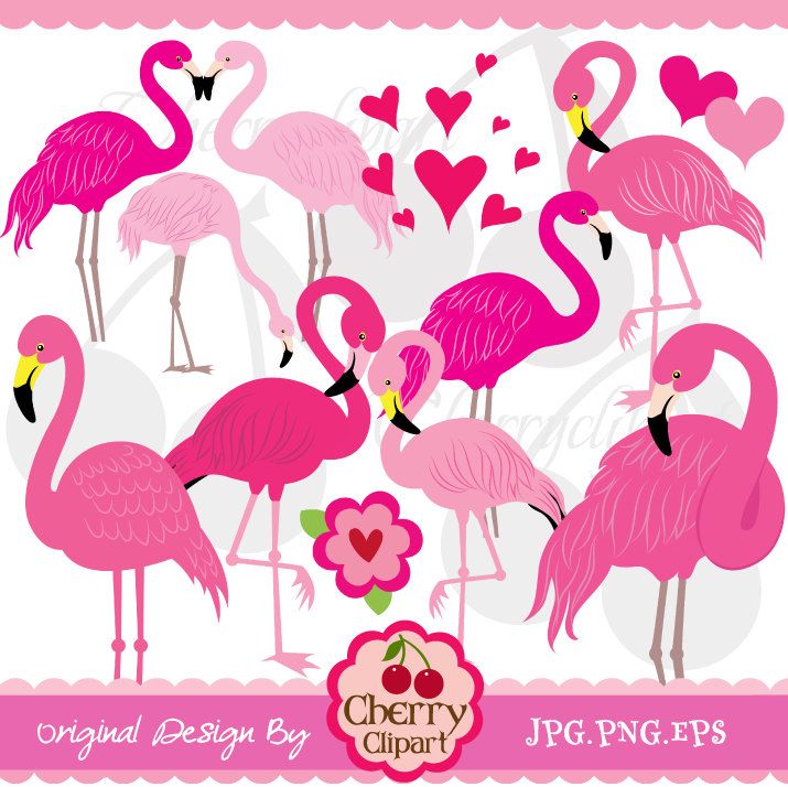 1000+ images about flamingo clip art on Pinterest.