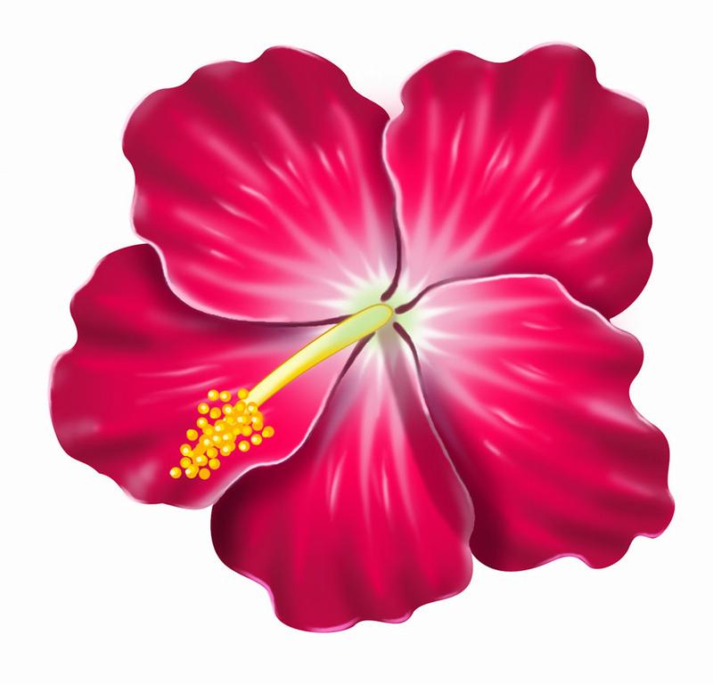 Pink hibiscus clip art clipart a yellow hawaiian.
