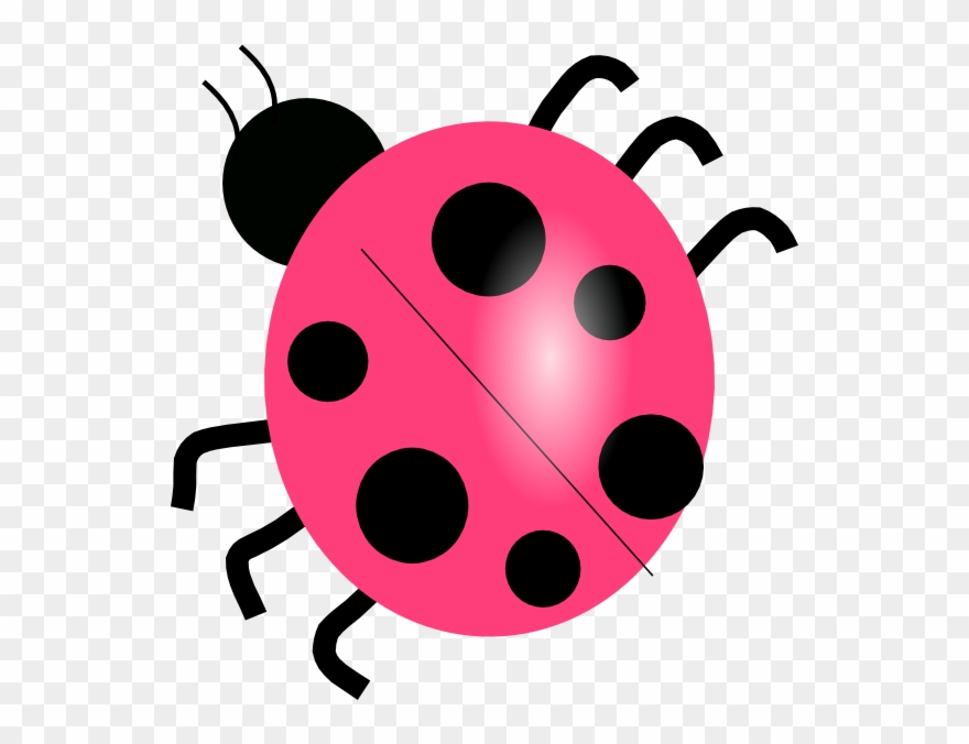 Bug Clipart Pink Lady.