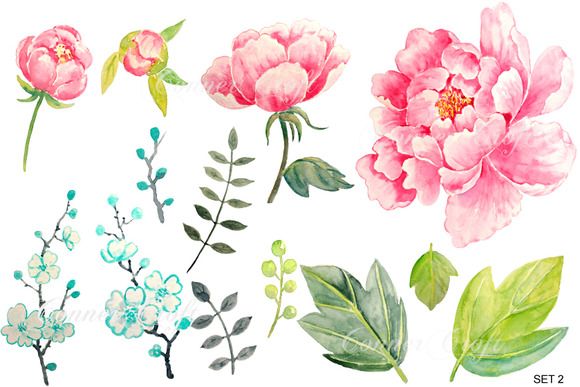 Free pink peony clipart.