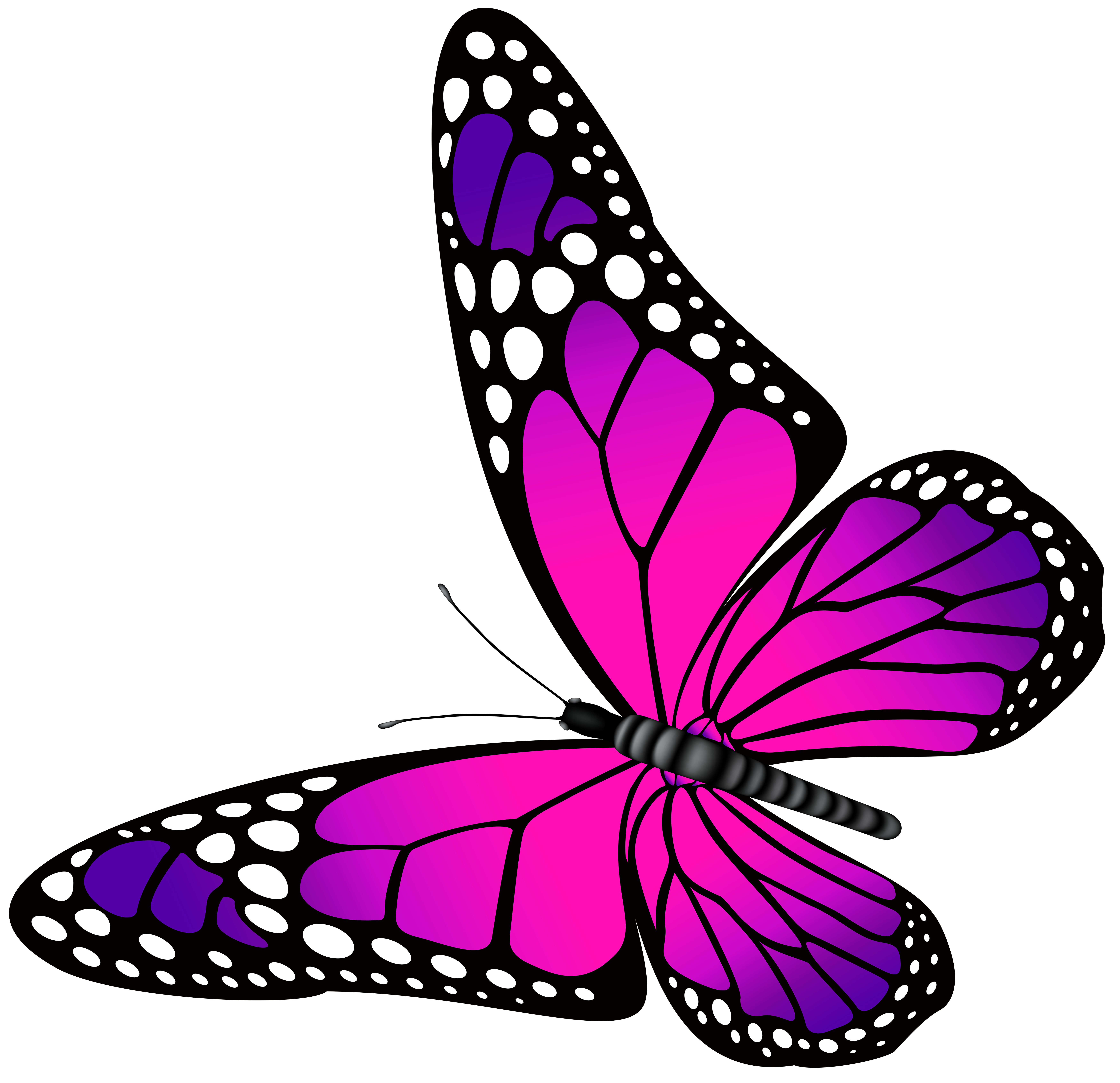 Pink And Teal Sideways Clipart Butterfly.