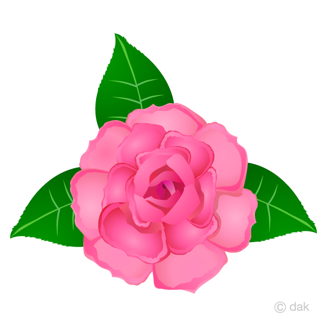 pink rose clip art 10 free Cliparts | Download images on Clipground 2024
