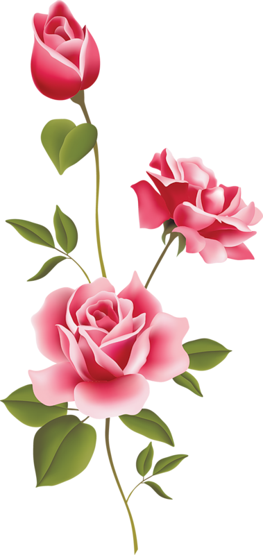 Free Clipart Pink Rose 20 Free Cliparts Download Images On Clipground 2024