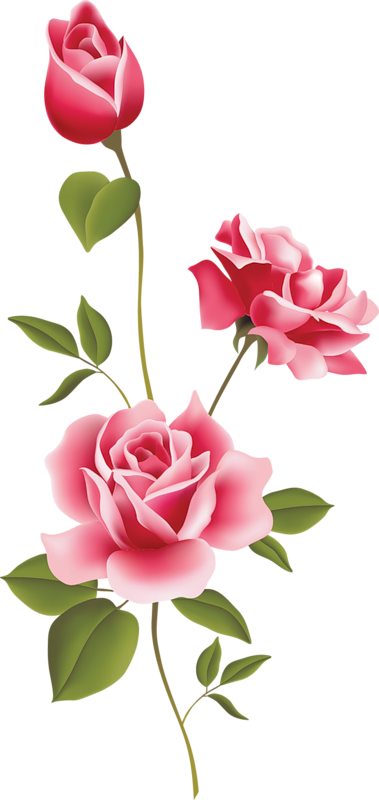 free clipart pink rose 20 free Cliparts | Download images on Clipground