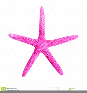 Pink Starfish Clipart.