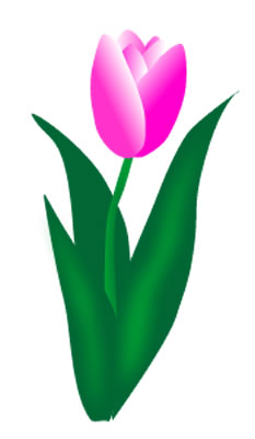 Pink Tulip Clipart.