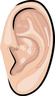 Human Ear.