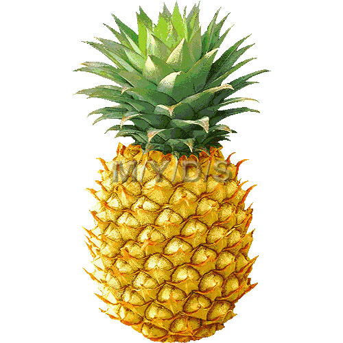 Pinya clipart 5 » Clipart Station.