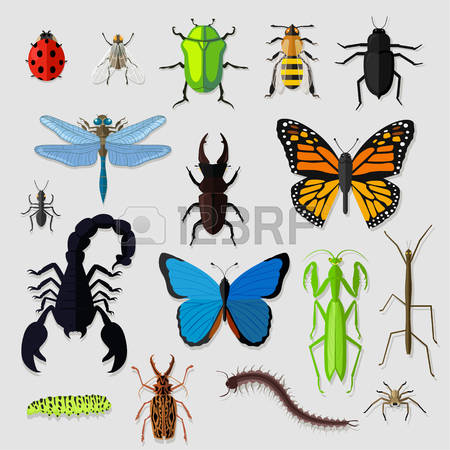 68 Pismire Stock Illustrations, Cliparts And Royalty Free Pismire.